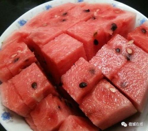 深圳北吃瓜,吃瓜群众的欢乐盛宴