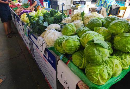 吃瓜摆摊创业,揭秘瓜摊背后的商业智慧