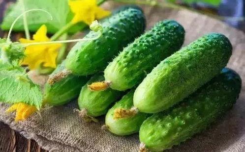 加吃瓜群,网络社交新现象背后的故事