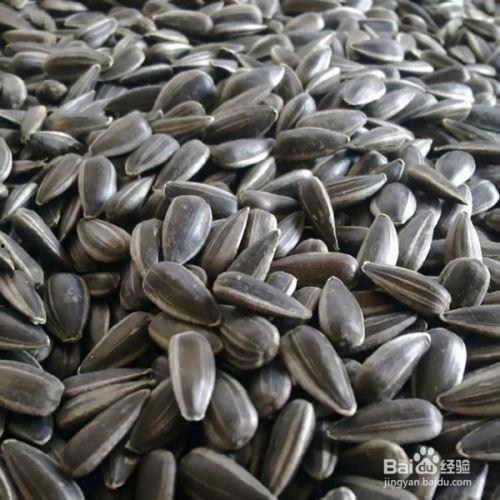 吃瓜和吃瓜子图片大全,吃瓜与吃瓜子图片大全赏析