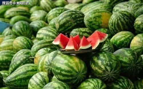 什么网站可以看吃瓜,一键掌握娱乐圈最新动态