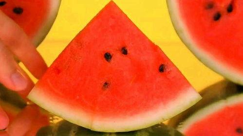 西瓜吃瓜大会,吃瓜大会的欢乐时光