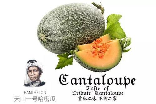 小新吃蜜瓜,甜蜜滋味，童趣无限