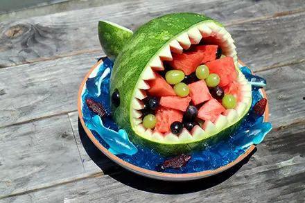 吃瓜鲨鱼,揭秘吃瓜鲨鱼的奇妙生活