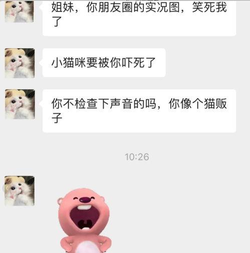 微信聊天吃瓜,揭秘朋友圈里的那些“瓜”