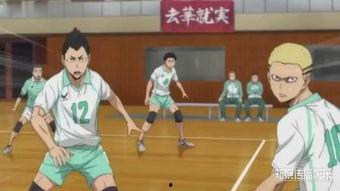 排球少年吃瓜群,揭秘吃瓜群背后的激情与热血