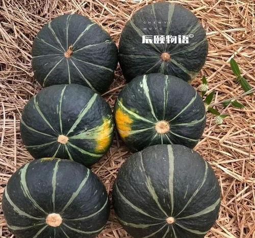 隔壁学校吃瓜头像,揭秘校园八卦背后的故事