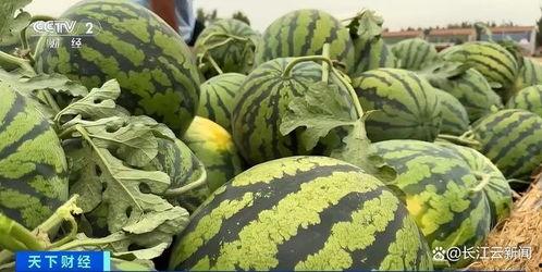 热门吃瓜网友,娱乐圈最新爆料大揭秘！