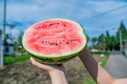 打卡学校吃瓜,揭秘学校里的那些“吃瓜”趣事