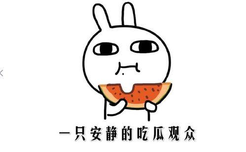 吃瓜观众吃瓜,吃瓜观众眼中的明星生活