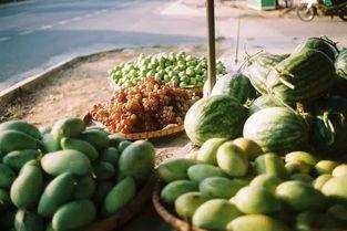 凤凰蛋吃瓜群众,揭秘神秘美食背后的故事