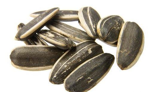 吃瓜和吃瓜子图片大全,吃瓜与吃瓜子图片大全赏析