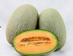 哈密瓜和玉米能一起吃,营养互补的美食探索