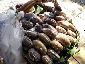 贵阳吃瓜,一瓜一世界,尽享人间烟火气