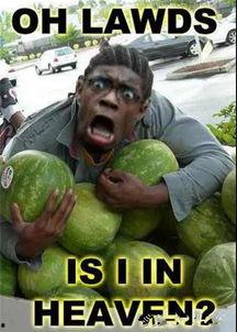 黑人吃白瓜,探寻种族融合中的饮食文化现象