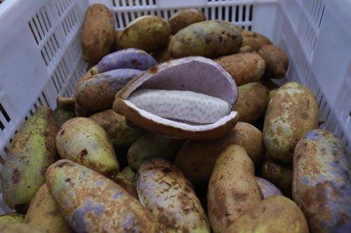 吃瓜群众被炸视频