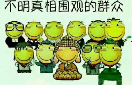 吃瓜群众小青蛙,揭秘娱乐圈那些事儿