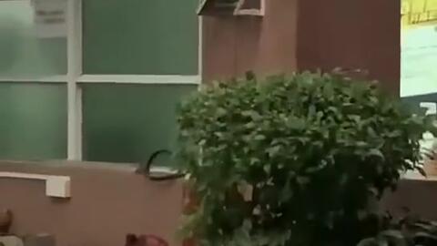 东明吃瓜新闻,揭秘当地热点事件背后的真相