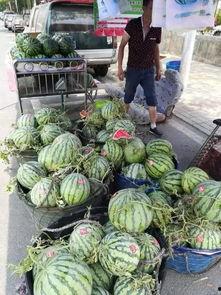 翰林府吃瓜事件,揭秘娱乐圈背后的惊人真相