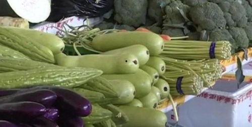 瓜吃不得的图片大全,这些瓜你敢吃吗？