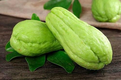 柯基可以吃葫芦瓜,柯基的葫芦瓜美食之旅