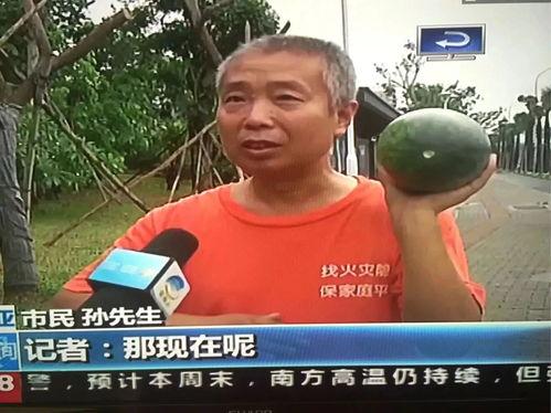 近期吃瓜热门事件,揭秘近期网络热议事件背后的真相