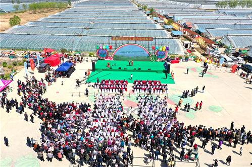 济南商河吃瓜事件,一场引发社会关注的误会风波