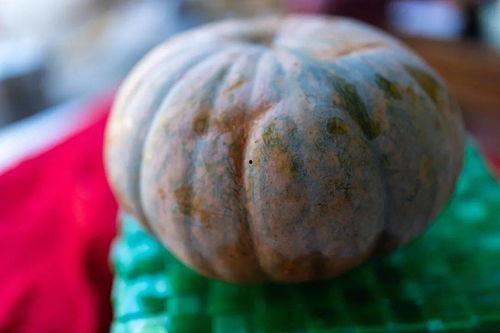 网友们吃瓜水平提高,揭秘网络时代的高阶“瓜农”技巧