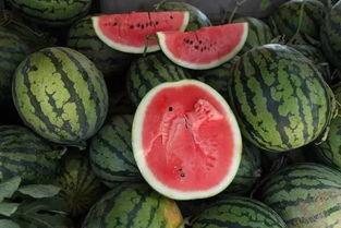 活守瓜怎么吃,解锁夏日清新美味