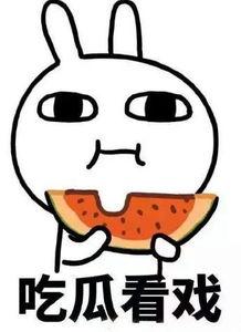 吃瓜真言,吃瓜真言背后的真相与内幕