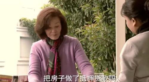 花开半夏吃瓜仔,一场别开生面的夏日美食之旅