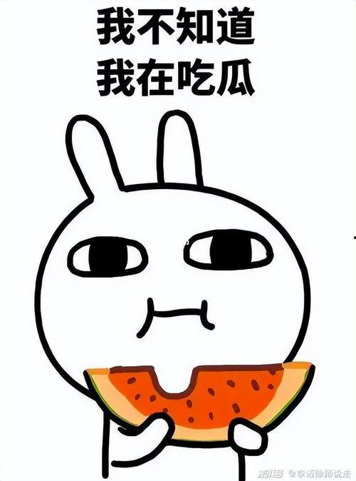 瓜瓜吃瓜的导读,揭秘娱乐圈幕后故事